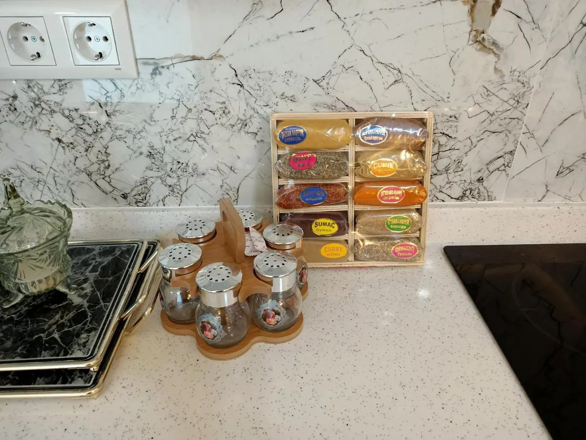 Flat For Rent At The City Center Of Kusadasi Apartment