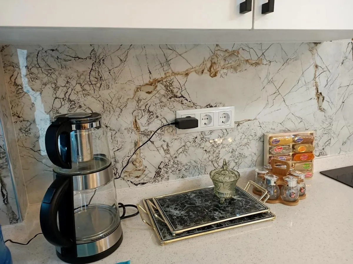 Flat For Rent At The City Center Of Kusadasi Appartement